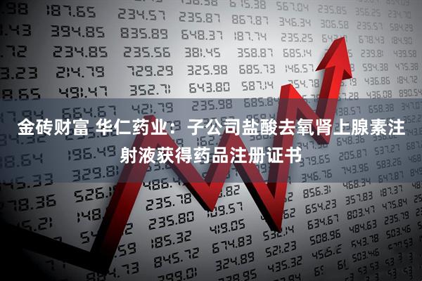 金砖财富 华仁药业：子公司盐酸去氧肾上腺素注射液获得药品注册证书