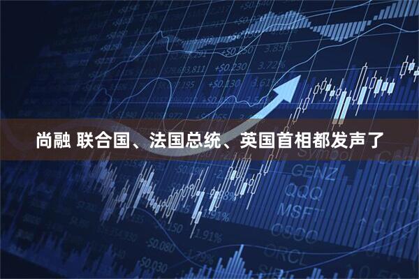 尚融 联合国、法国总统、英国首相都发声了