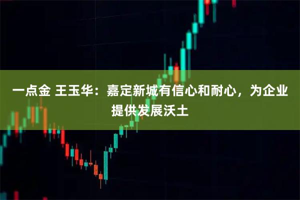 一点金 王玉华：嘉定新城有信心和耐心，为企业提供发展沃土
